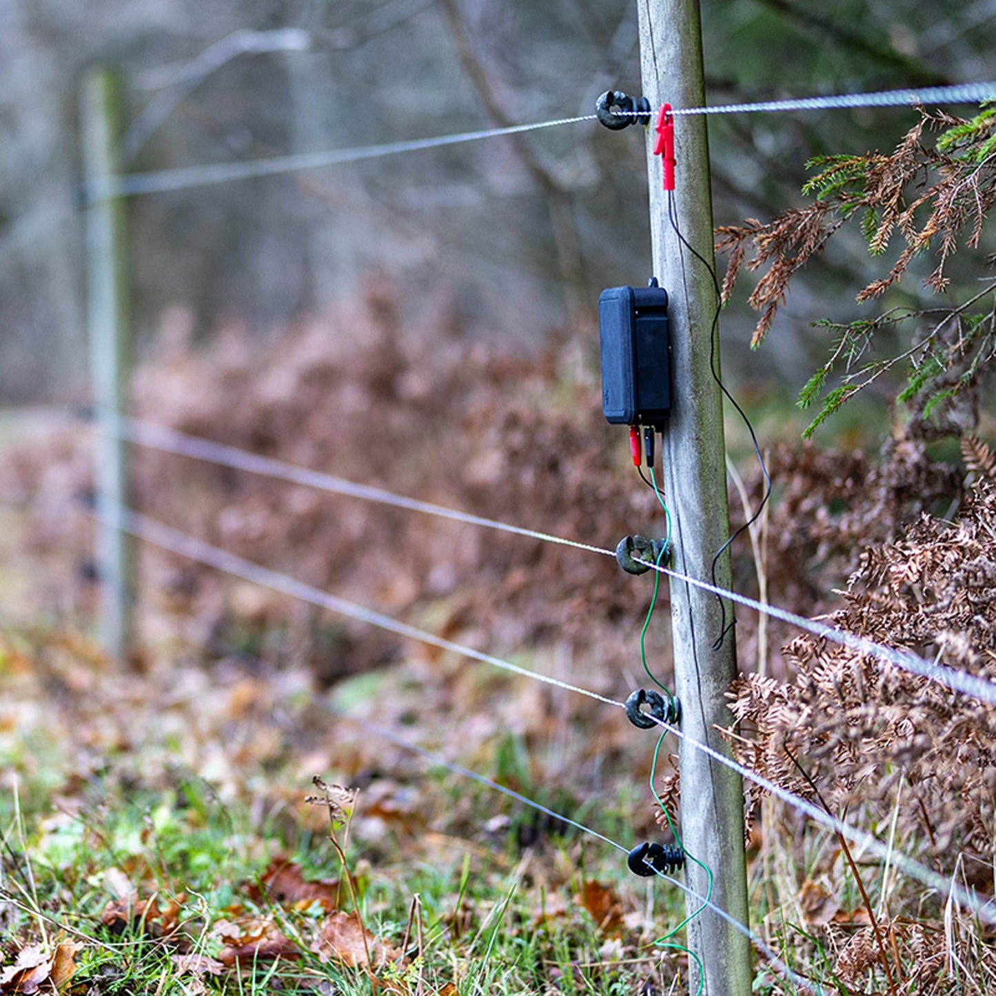 Acerna Fence